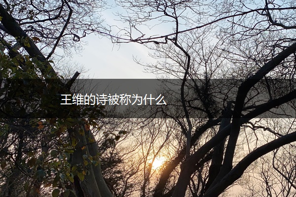 王维的诗被称为什么