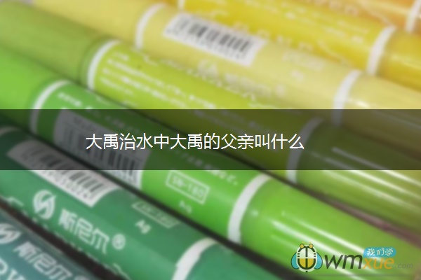 大禹治水中大禹的父亲叫什么