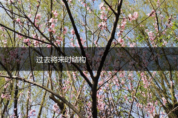 过去将来时结构