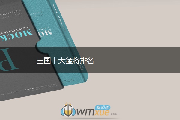 三国十大猛将排名
