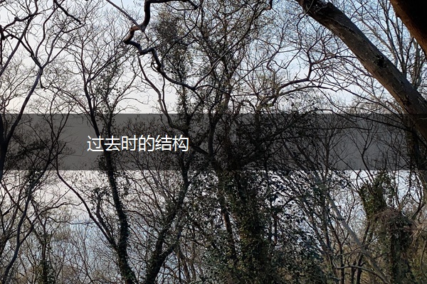 过去时的结构