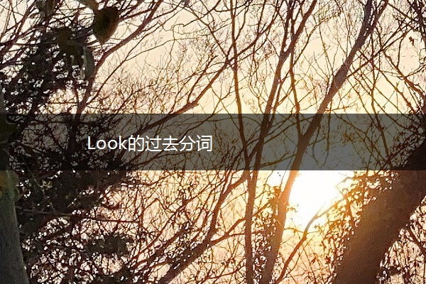 Look的过去分词