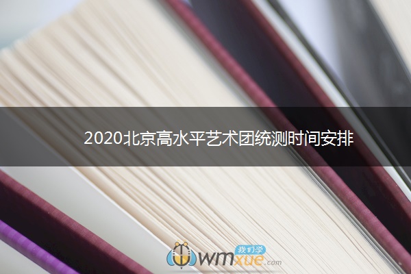 2020北京高水平艺术团统测时间安排