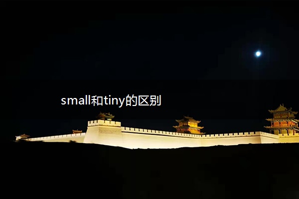 small和tiny的区别