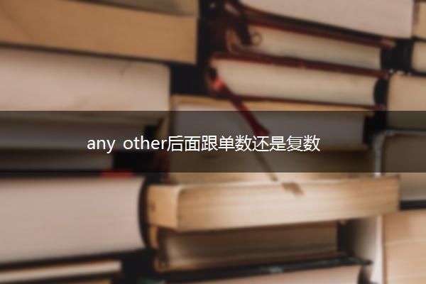 any other后面跟单数还是复数