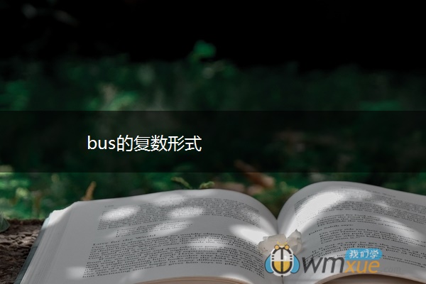 bus的复数形式