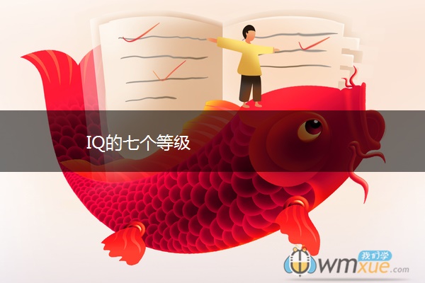 IQ的七个等级