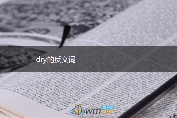 dry的反义词