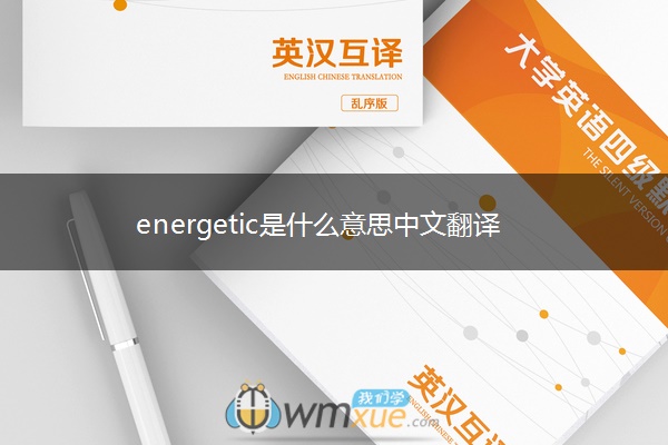 energetic是什么意思中文翻译