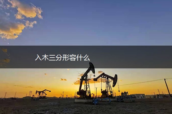 入木三分形容什么