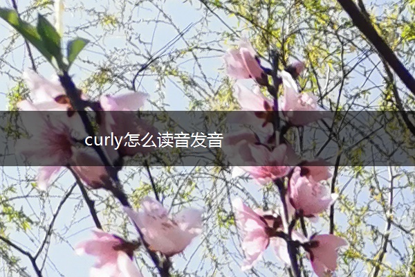 curly怎么读音发音