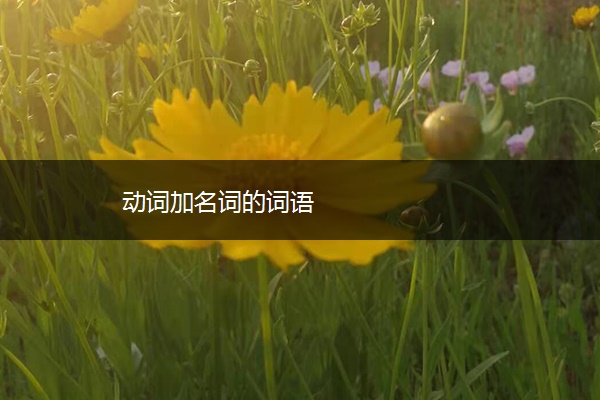 动词加名词的词语