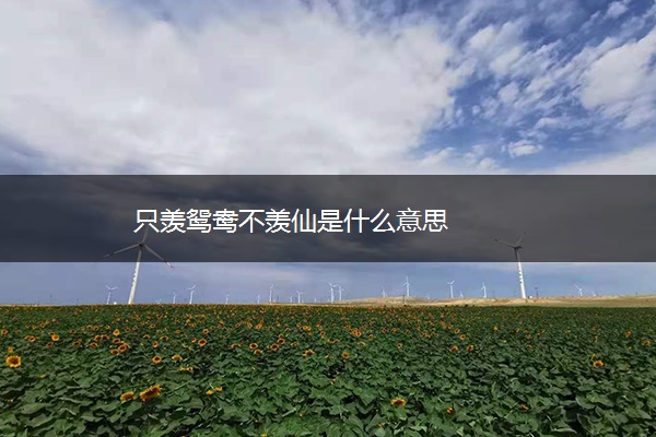 只羡鸳鸯不羡仙是什么意思