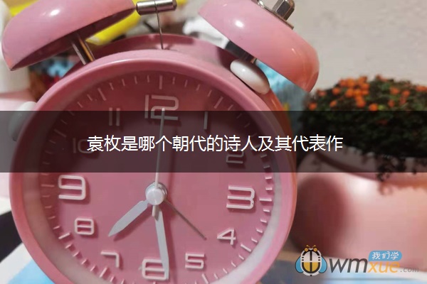 袁枚是哪个朝代的诗人及其代表作