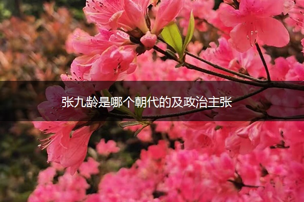 张九龄是哪个朝代的及政治主张