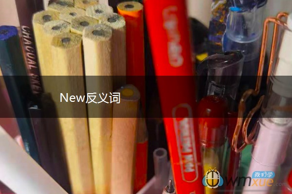 New反义词