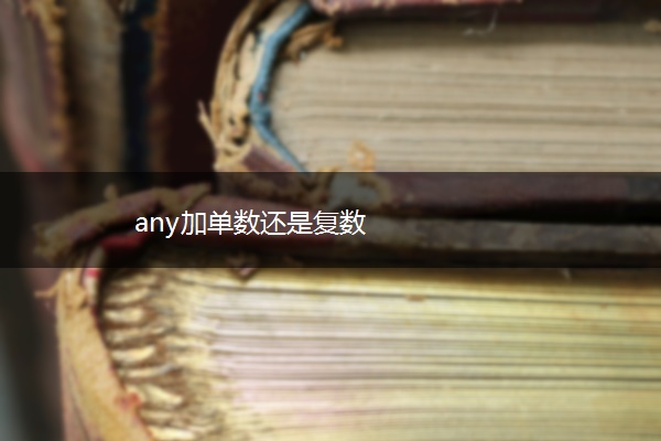 any加单数还是复数