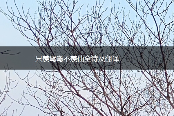 只羡鸳鸯不羡仙全诗及翻译