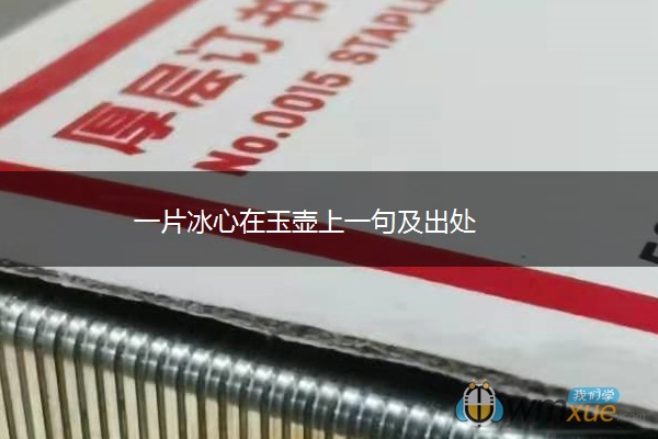 一片冰心在玉壶上一句及出处