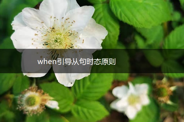 when引导从句时态原则