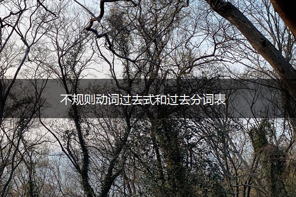 不规则动词过去式和过去分词表