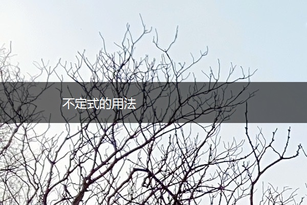 不定式的用法