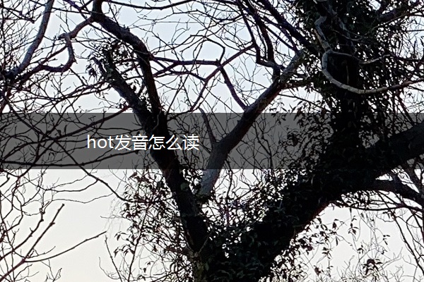 hot发音怎么读