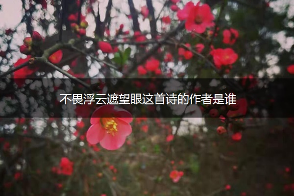 不畏浮云遮望眼这首诗的作者是谁