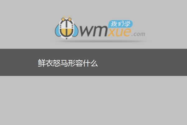 鲜衣怒马形容什么