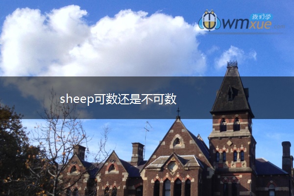 sheep可数还是不可数