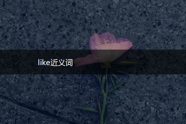 like近义词