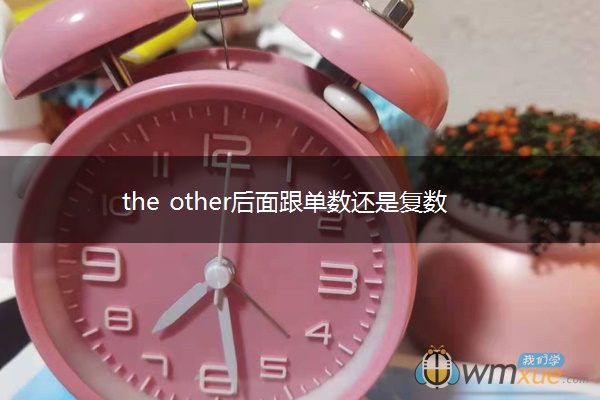 the other后面跟单数还是复数