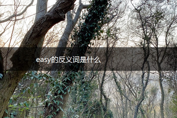 easy的反义词是什么