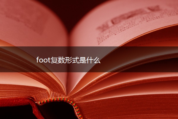 foot复数形式是什么