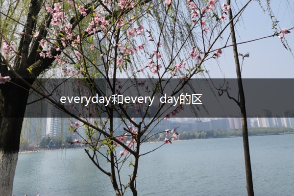 everyday和every day的区别