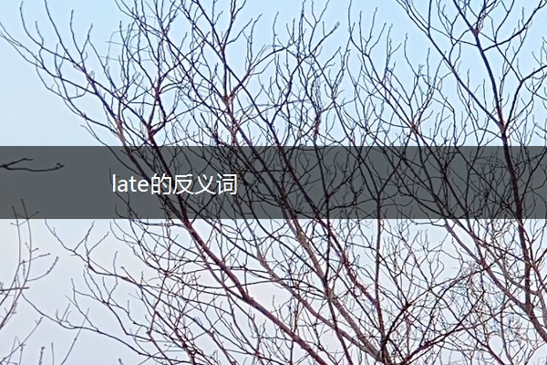 late的反义词