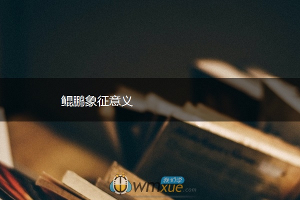 鲲鹏象征意义