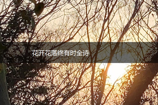 花开花落终有时全诗