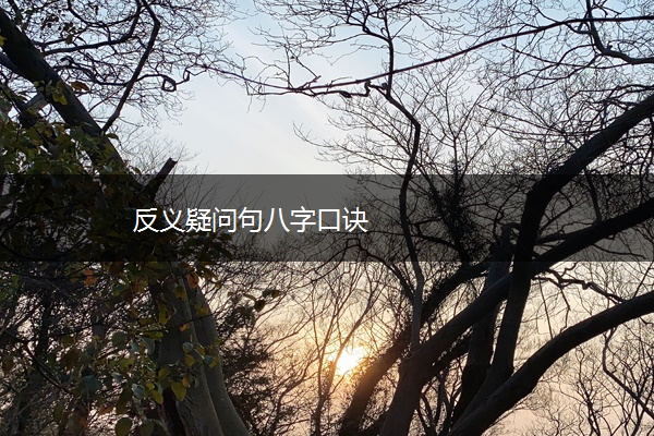 反义疑问句八字口诀