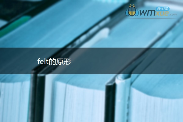 felt的原形