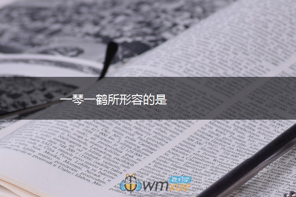 一琴一鹤所形容的是