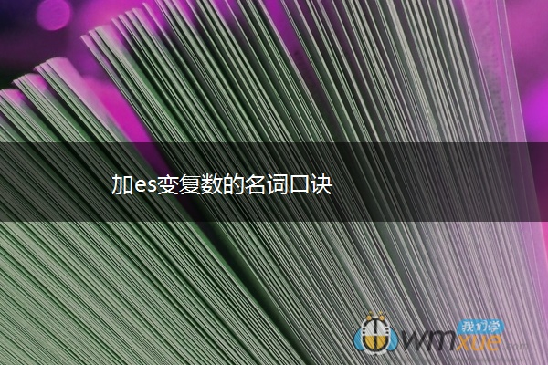 加es变复数的名词口诀
