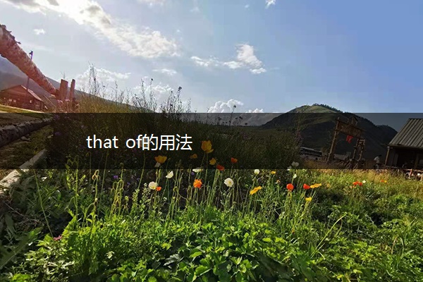 that of的用法