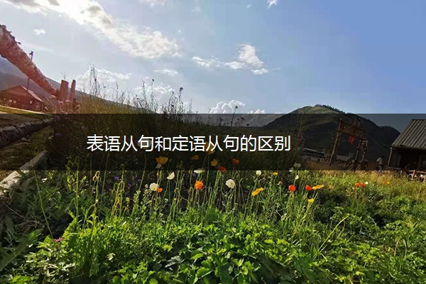 表语从句和定语从句的区别