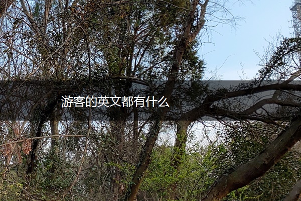 游客的英文都有什么