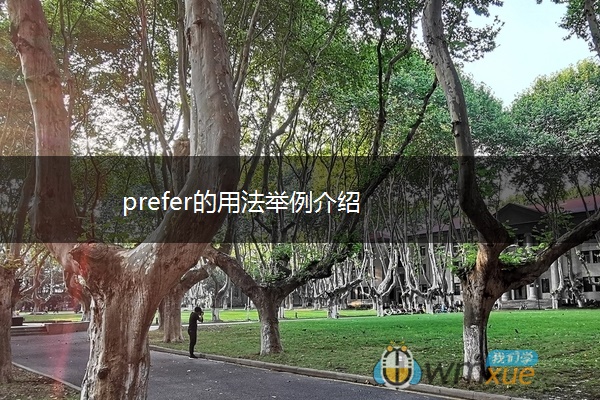 prefer的用法举例介绍