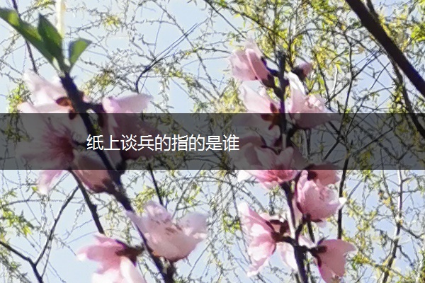 纸上谈兵的指的是谁