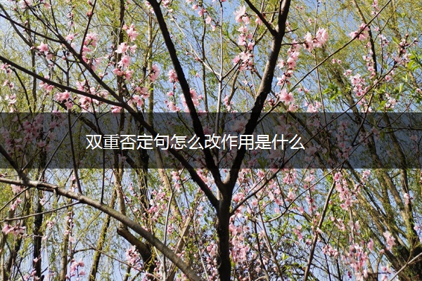 双重否定句怎么改作用是什么