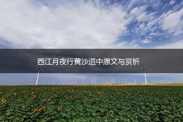 西江月夜行黄沙道中原文与赏析