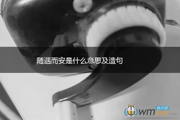 随遇而安是什么意思及造句